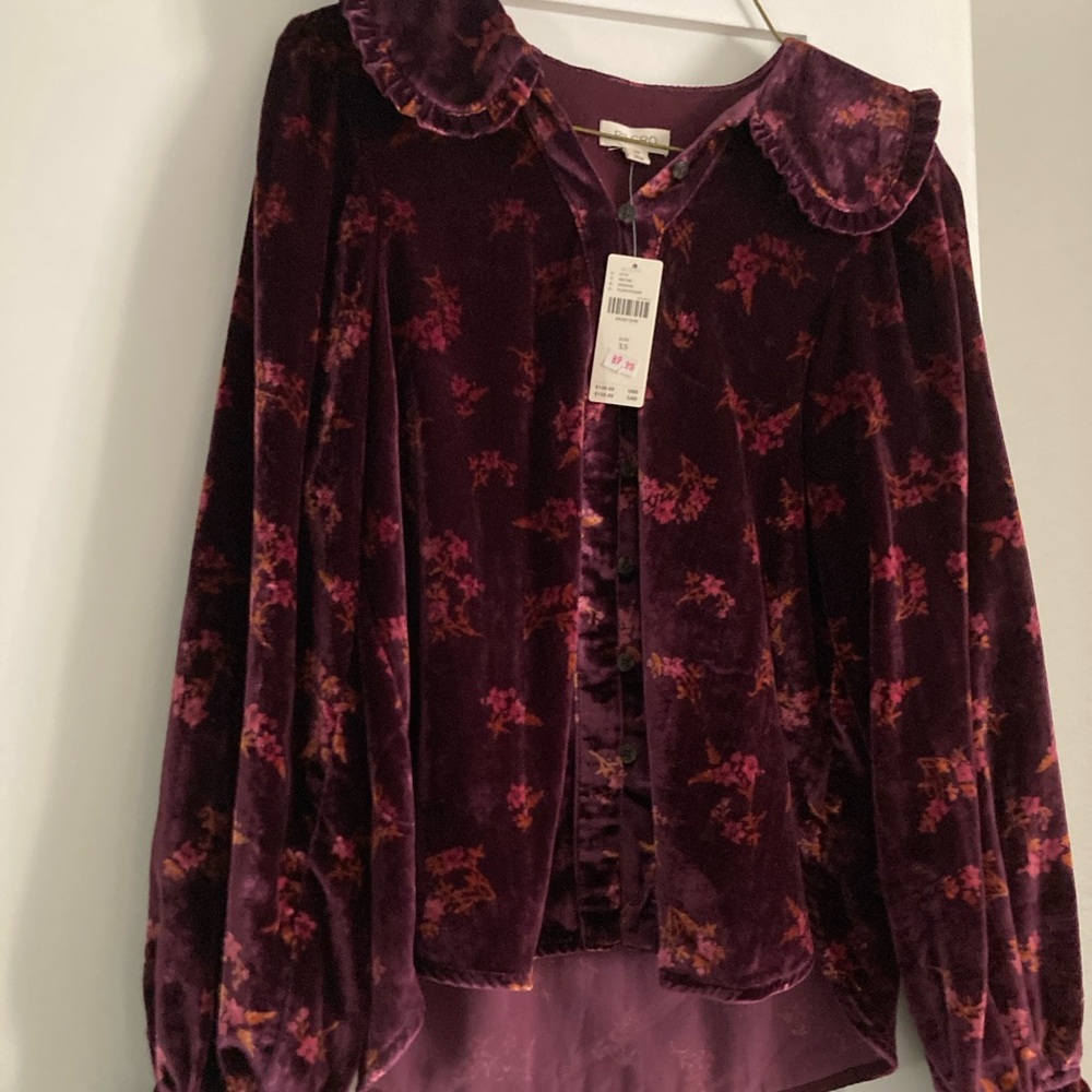 Elegant Velvet Floral Blouse with Ruffled Collar Pilcro